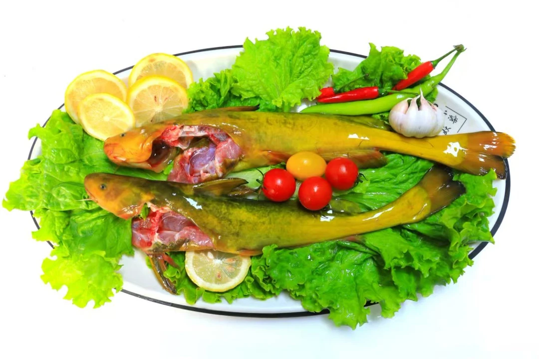 黑龙江大牛尾巴鱼（顺丰保鲜包邮）