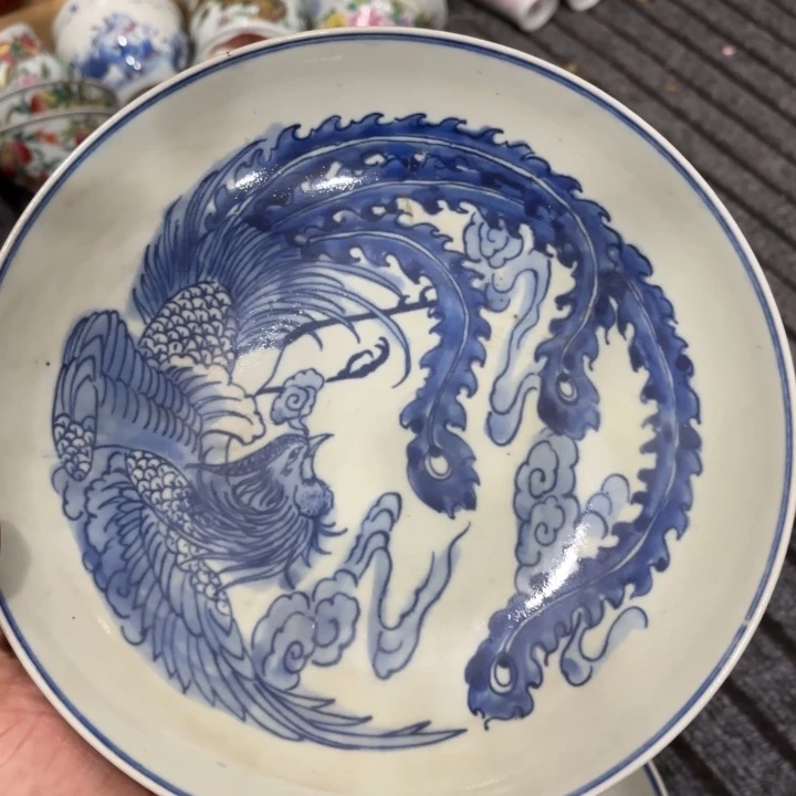 阿猫咪你要去哪儿啦