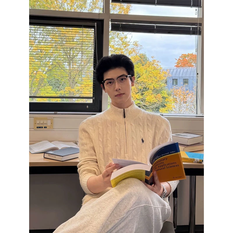 小马刺绣毛衣套头衫男款秋冬季半高领内搭针织衫纯色立领麻花外套