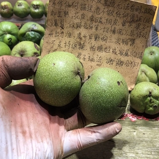 娃***鱼桃核吊坠核桃核桃