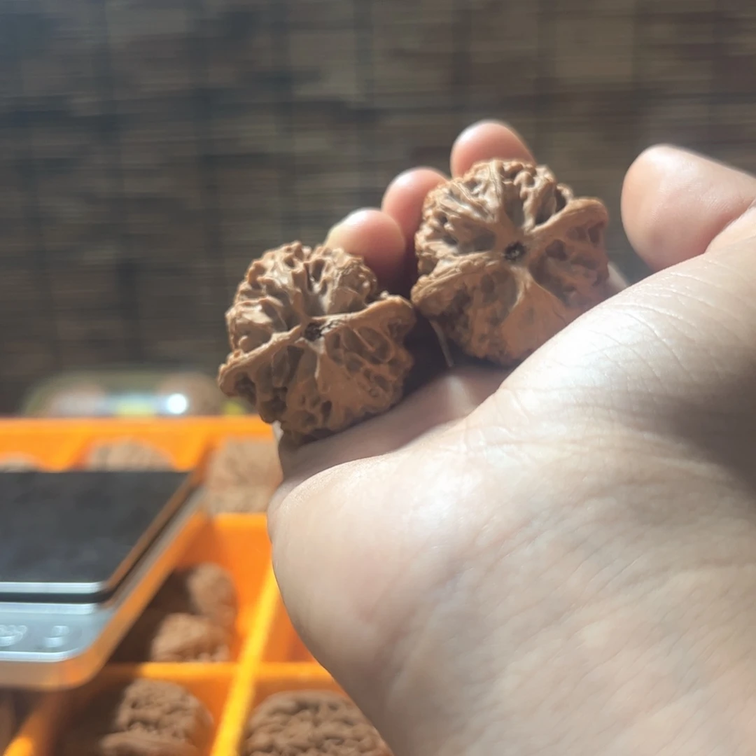 吊坠文玩核桃f****n核桃