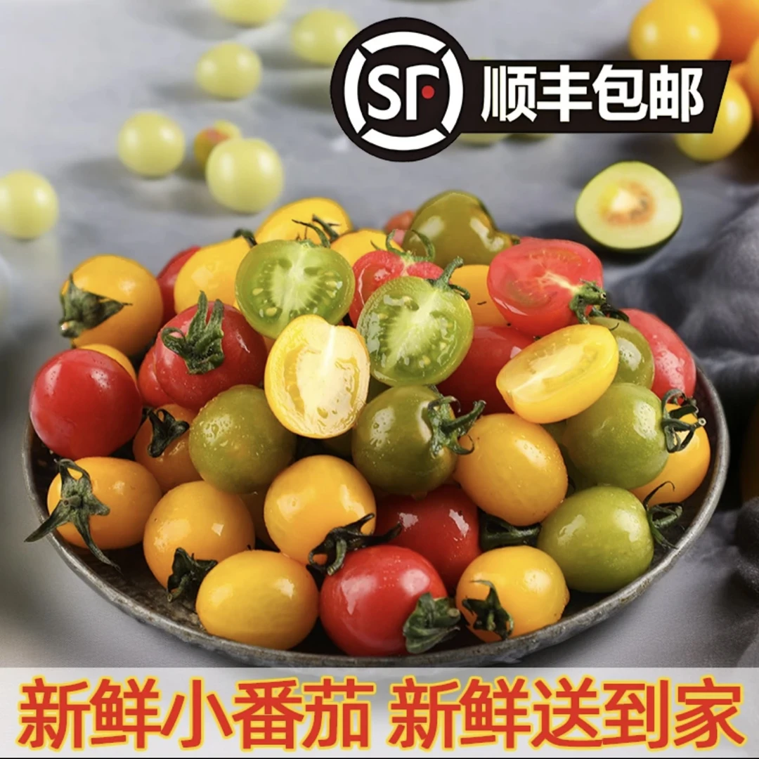山东寿光红色黄色绿色小番茄紫樱桃辉煌青甜新鲜采摘三色圣女果