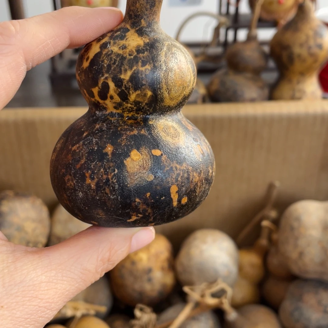 香榧木饲****森葫芦葫芦