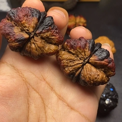 文玩核桃把件44尺蝴蝶蟾