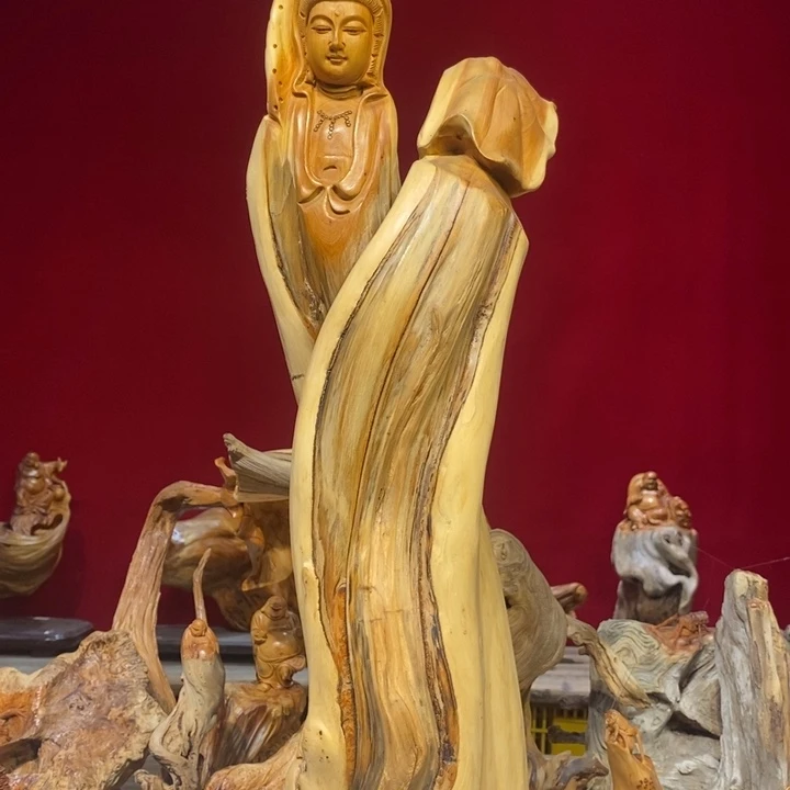 柏木（崖柏）88888888888