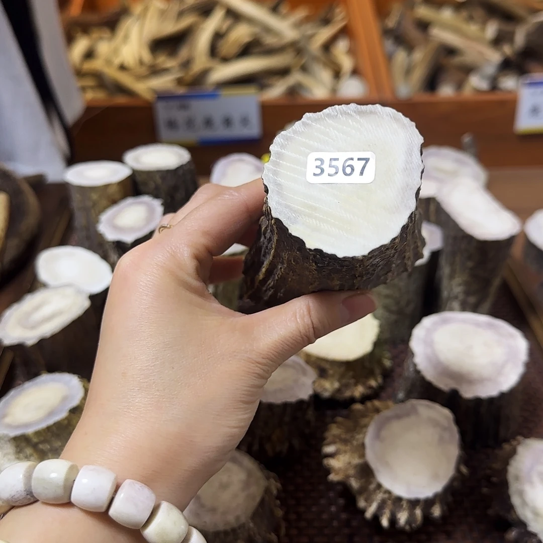 鹿骨手串/手链5367根段