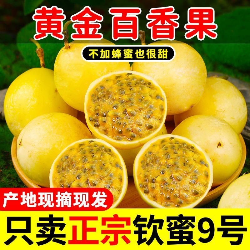 正宗黄金百香果钦蜜9号