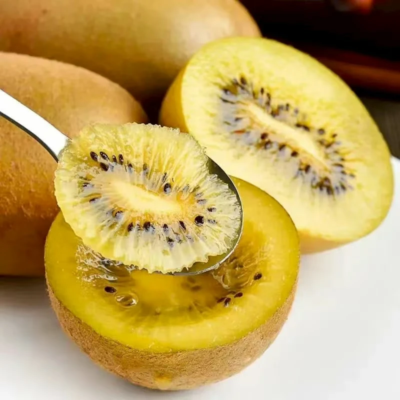 正宗黄心猕猴桃奇异果10斤新鲜水果香甜多汁现摘现发精品礼盒包邮