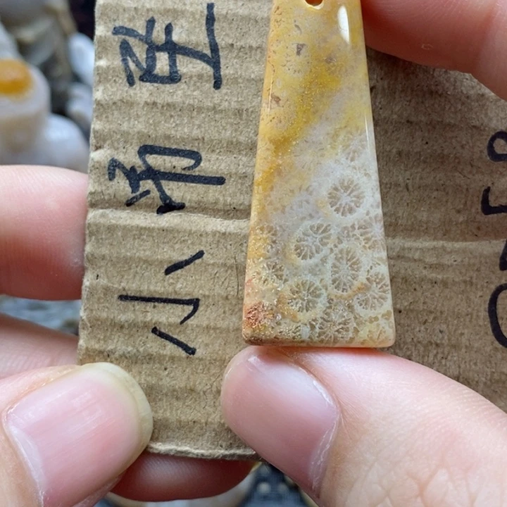 硅化珊瑚（珊瑚玉）颈饰未镶嵌