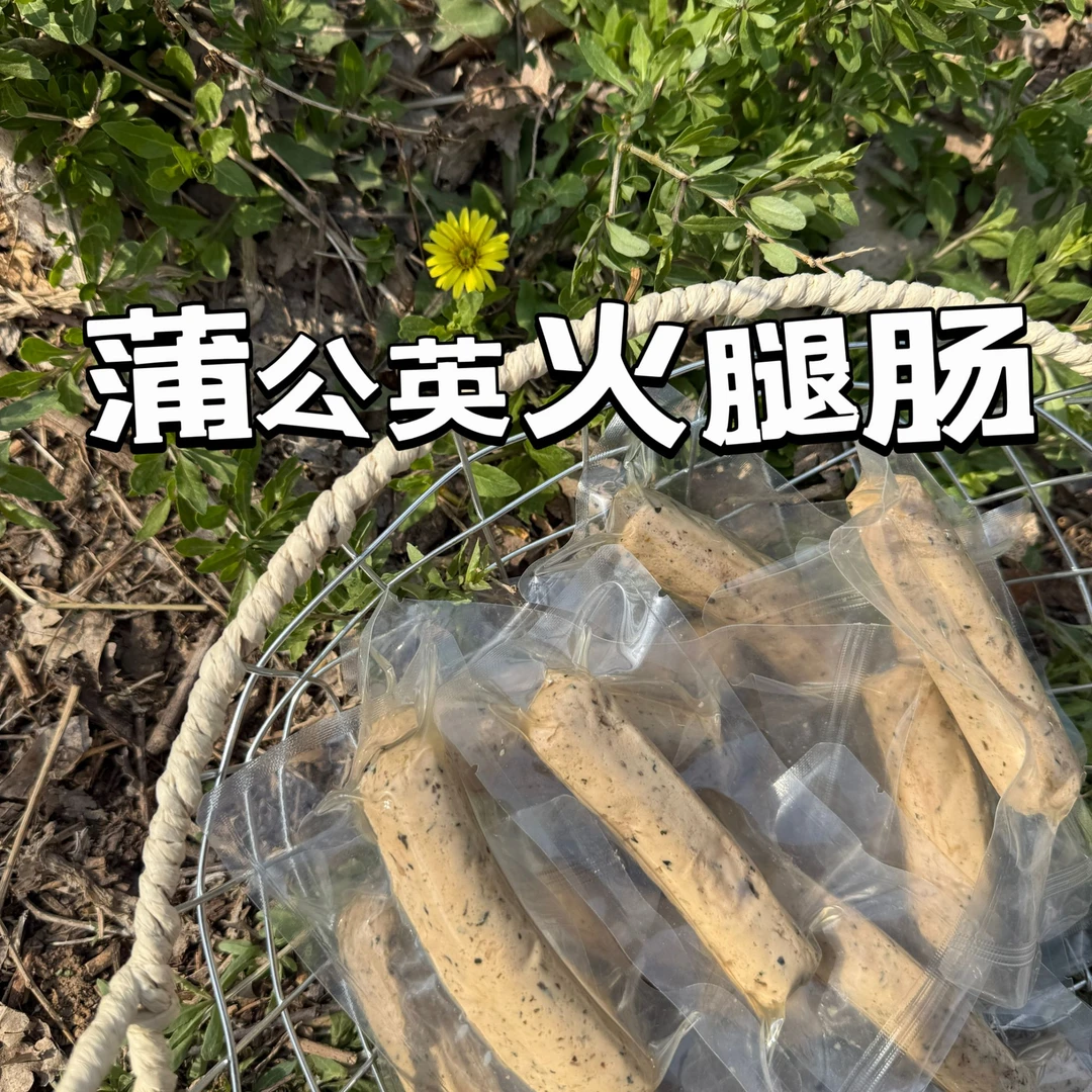 好运家蒲公英火腿肠春日特定宠物零食95%含肉量狗狗零食