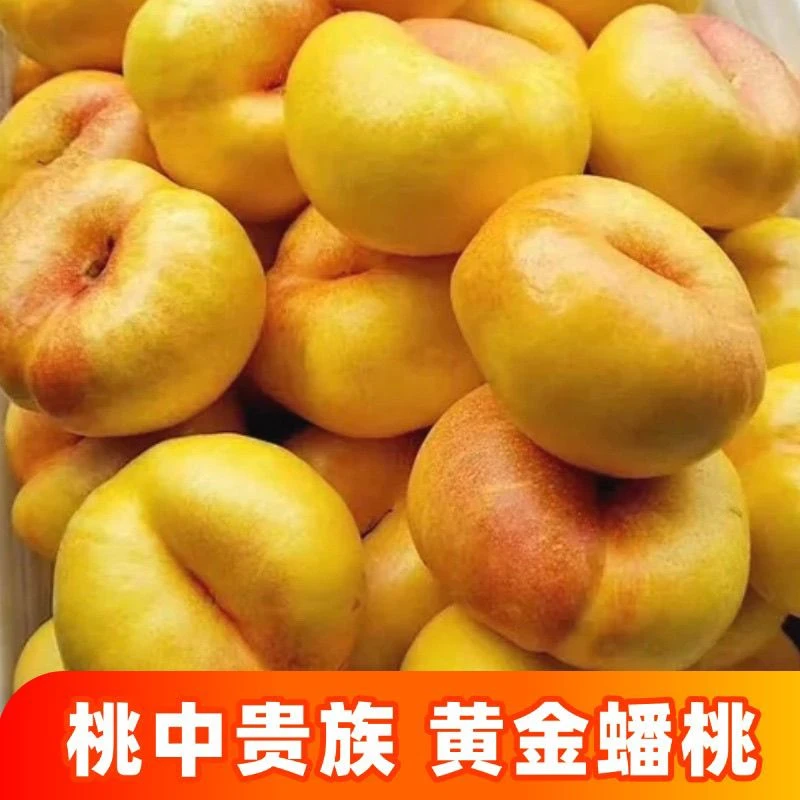 A纯甜黄金油蟠桃黄心应季油桃黄油扁桃新鲜水果脆桃正宗整箱