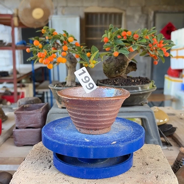 8.5x5////////199////