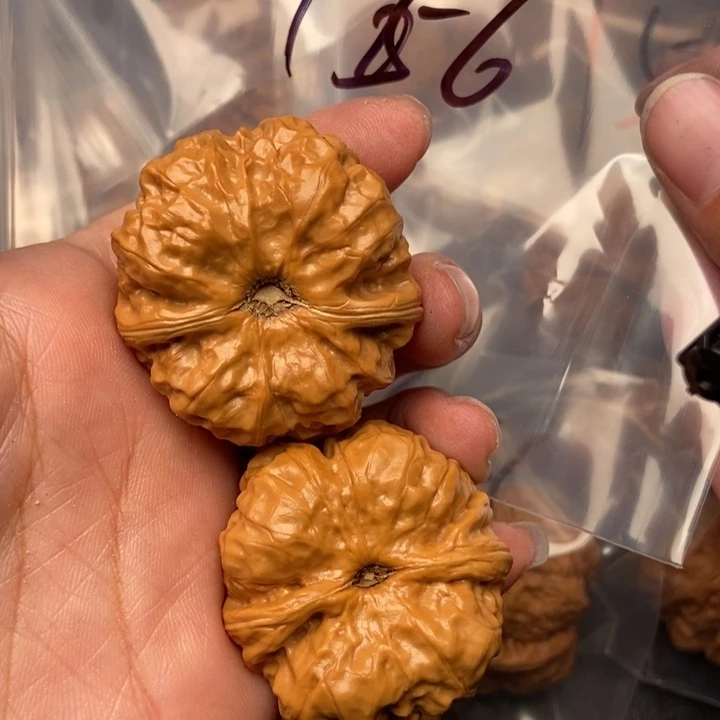 把件文玩核桃156号蛤蟆头