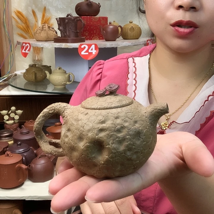 宜兴紫砂壶艺术茶壶
