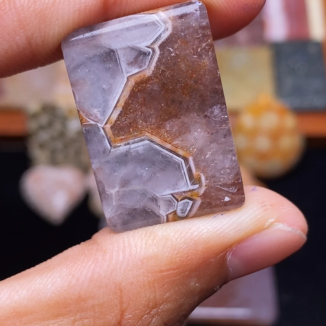 蒜***机合金珊瑚玉硅化玉