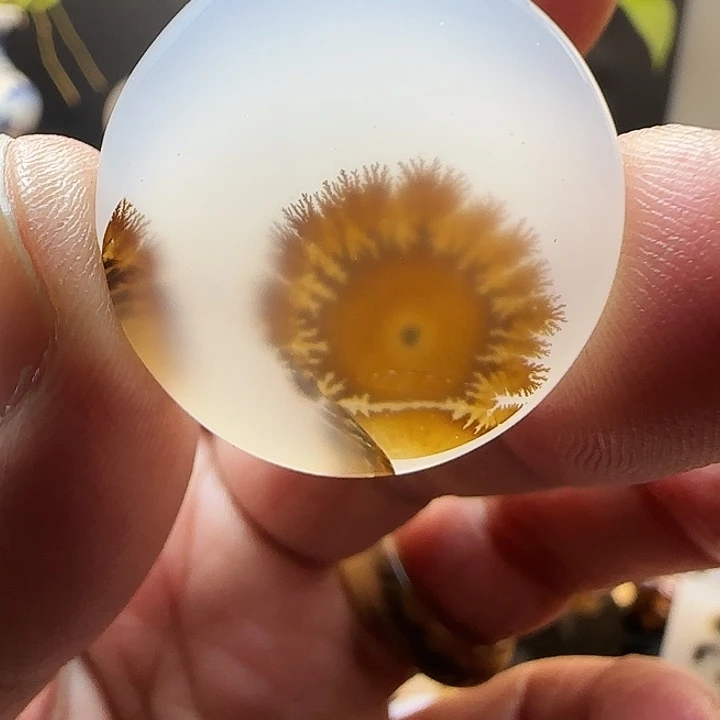 未镶嵌吊坠(不含链)玛瑙/玉髓