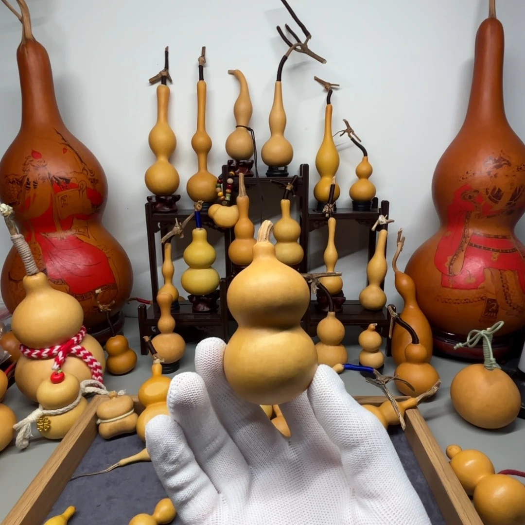 闹***闹哈哈哈哈哈哈一个奶嘴八宝