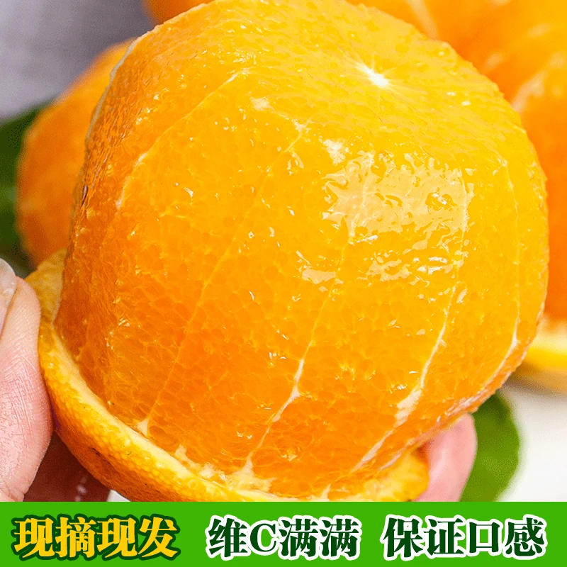 【现摘现发】正宗奉节脐橙新鲜水果香橙多汁甜橙只发精品果坏果包赔