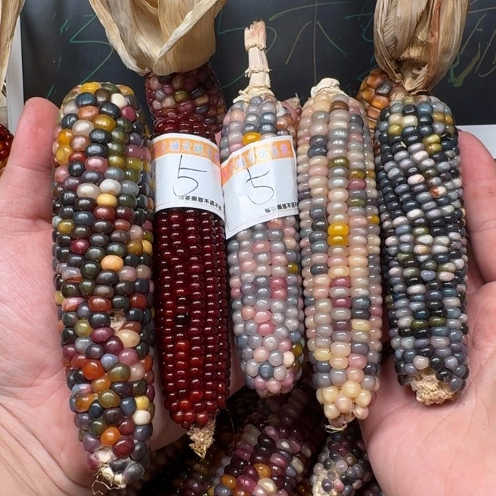 柏香籽/百香籽吊坠点***点