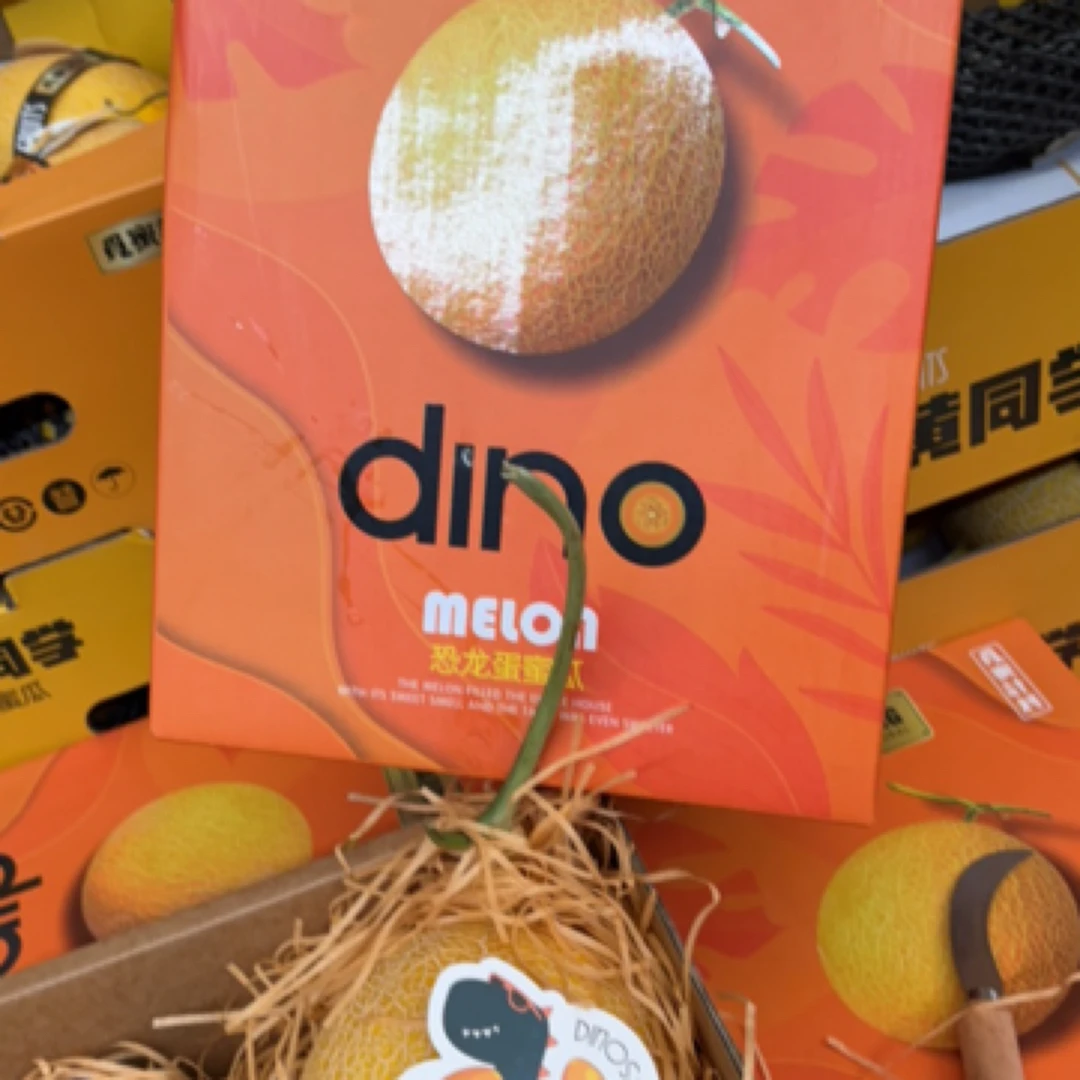 【杭州果品】觅蜜计划哈密瓜2个5～6斤海南晓蜜新鲜海南省
