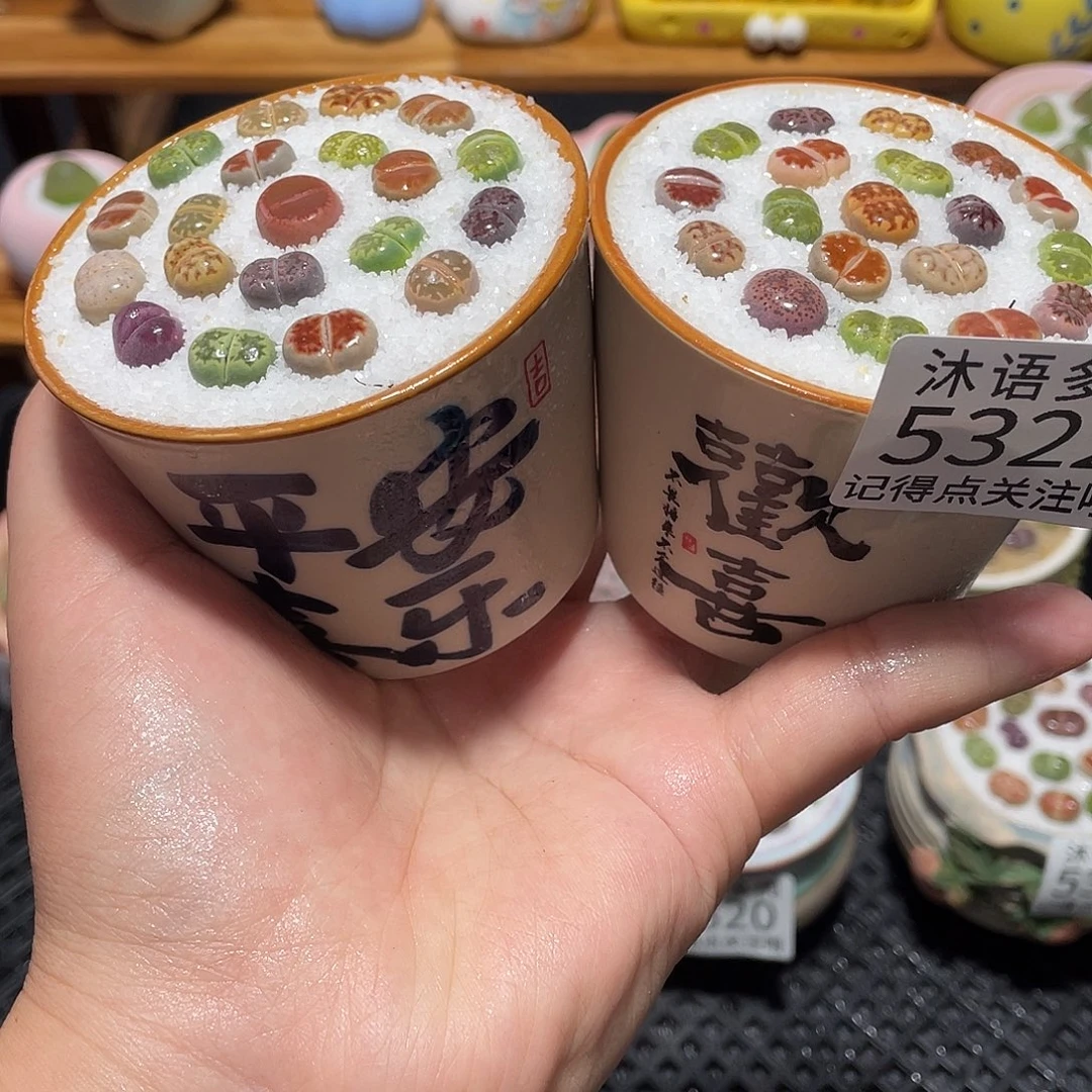 带盆土植物 一物一拍5322