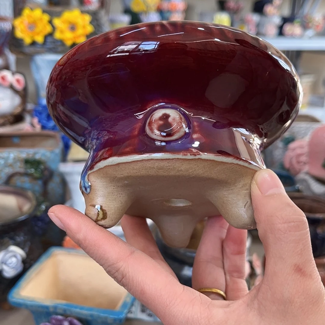 【闪购商品】红陶福利咯