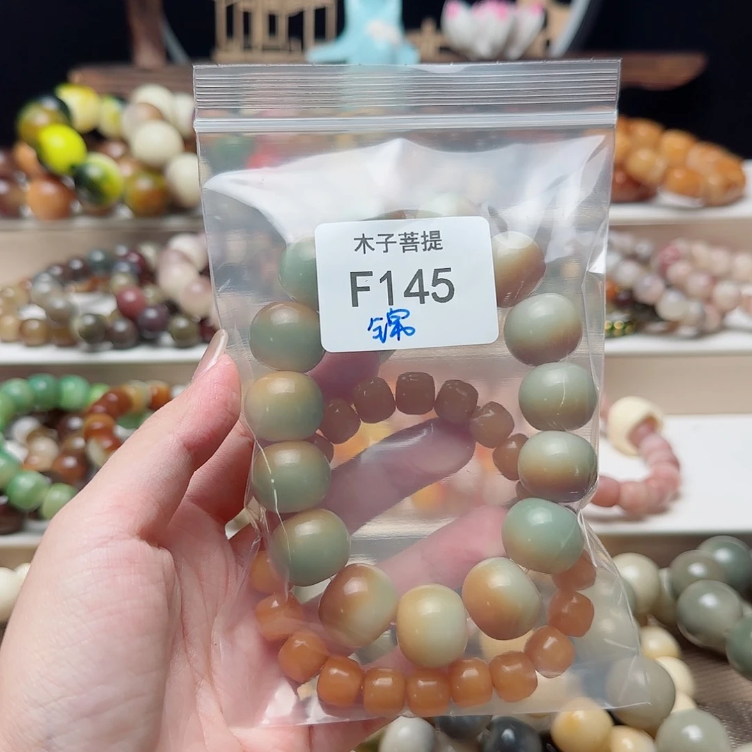 吊坠菩提根/象牙果✨****✨F145