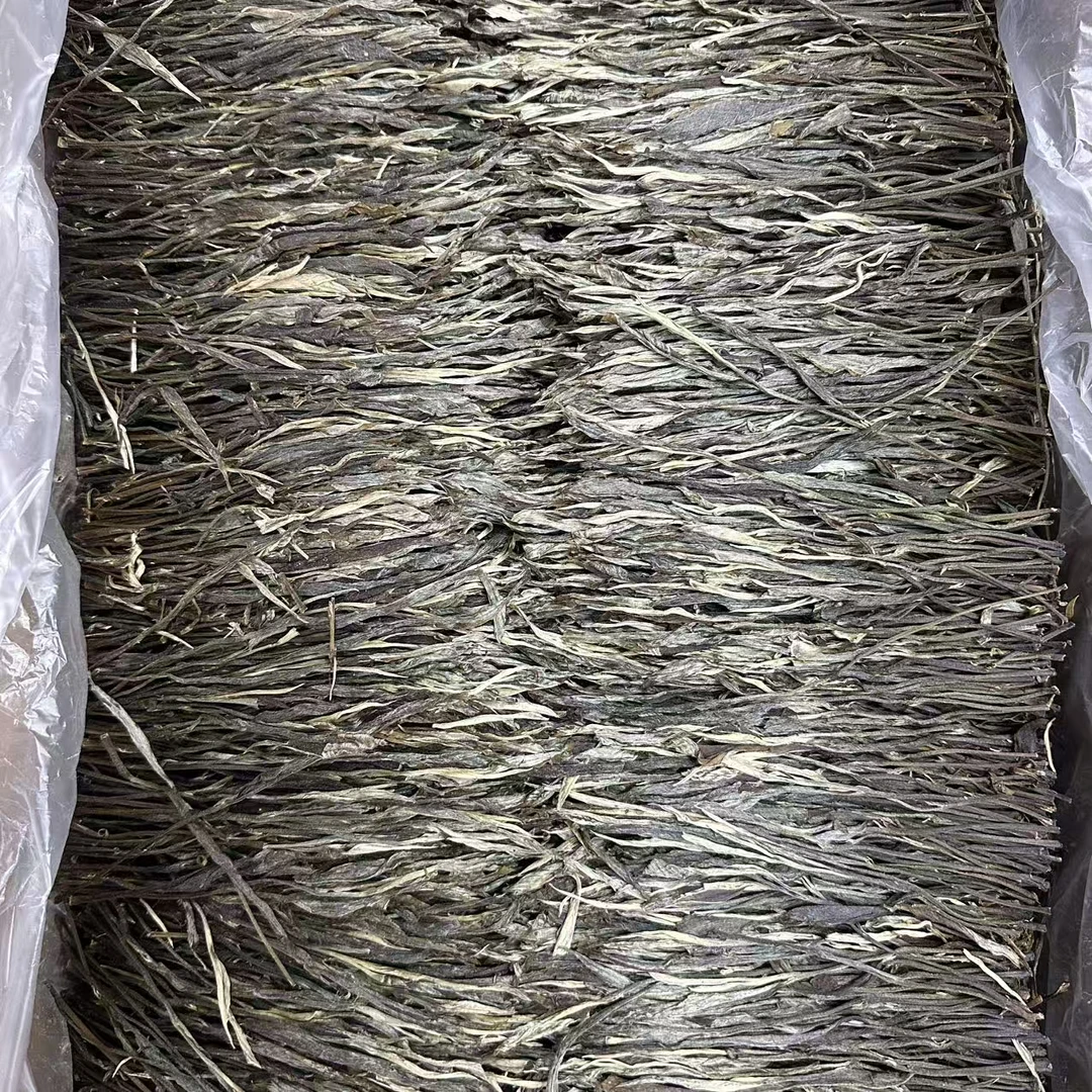 2023年冰岛单株古树橡筋普洱生茶250g