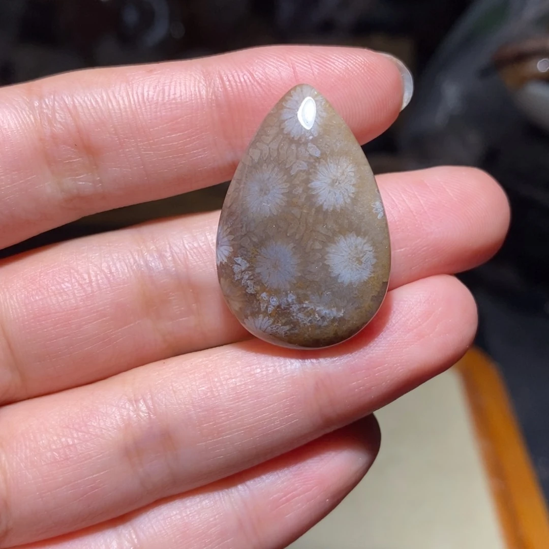 【闪购商品】硅化玉珊瑚玉未镶嵌
