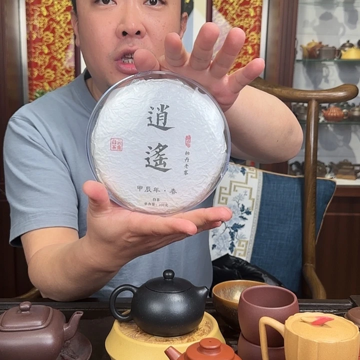 紫砂茶壶老衲炳白饼