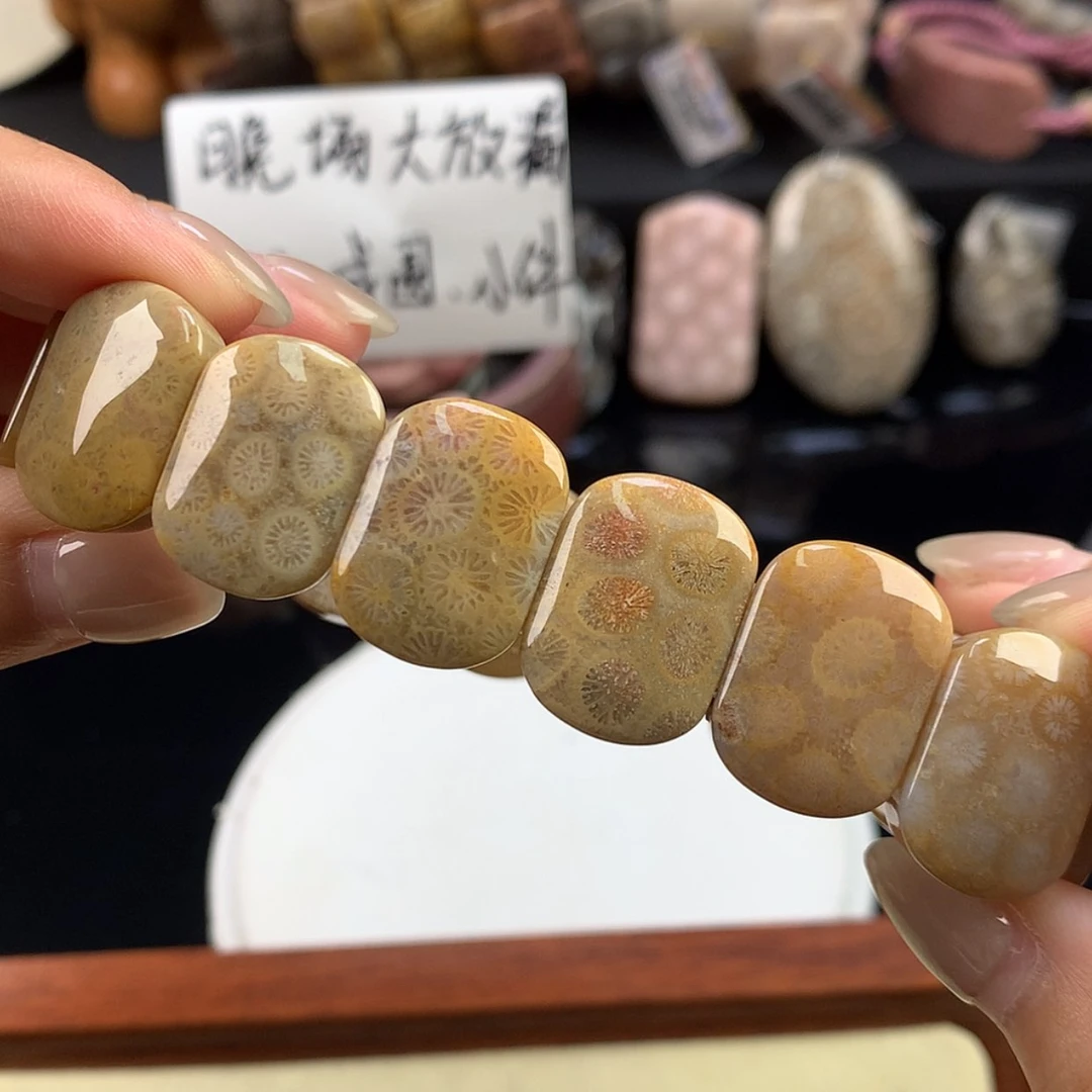 【闪购商品】硅化珊瑚（珊瑚玉）未镶嵌颈饰大放漏13号