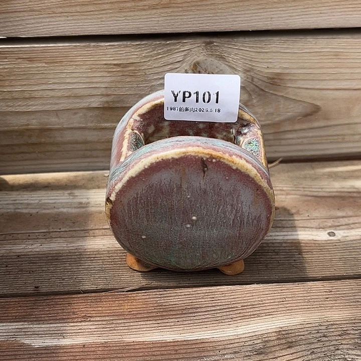 紫砂花盆小****妹6折福利盆101