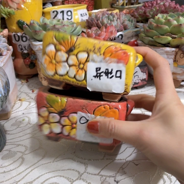 多肉花盆满15包邮