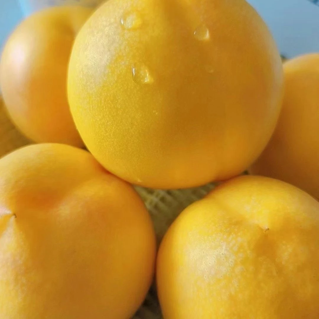 【顺丰包邮】黄金蜜桃 辽宁丹东宽甸河口黄金油桃黄桃