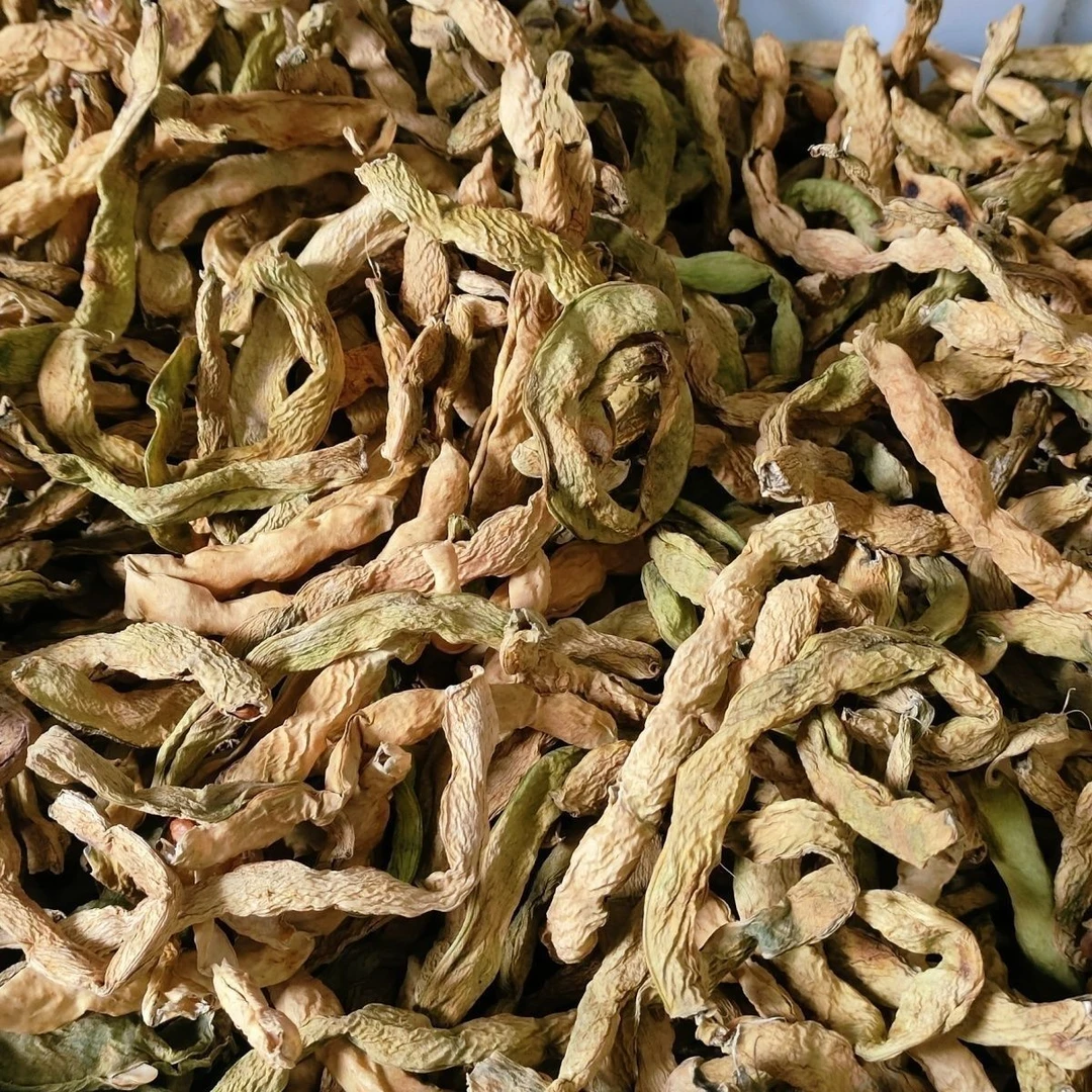 大山里的山货   干四季豆