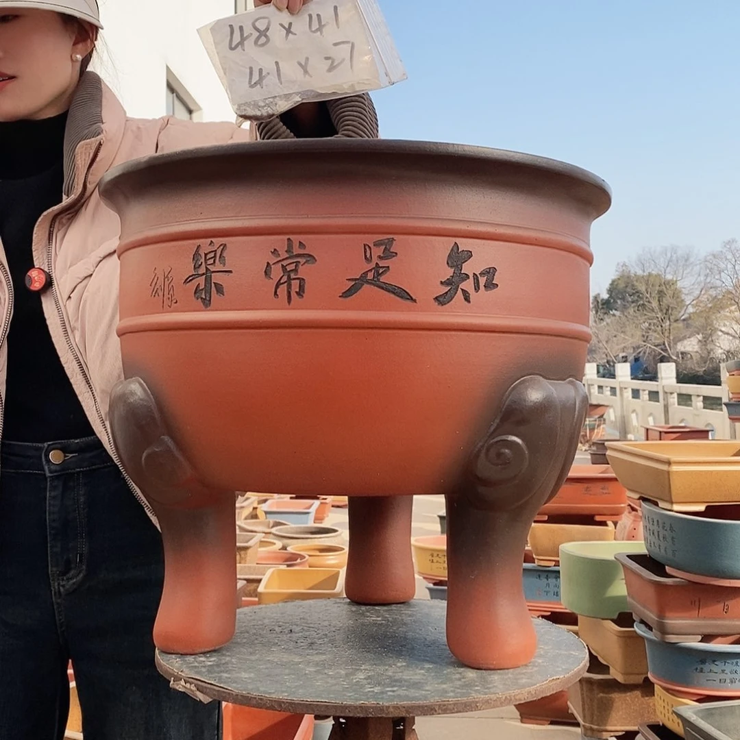 紫砂花盆紫砂花盆