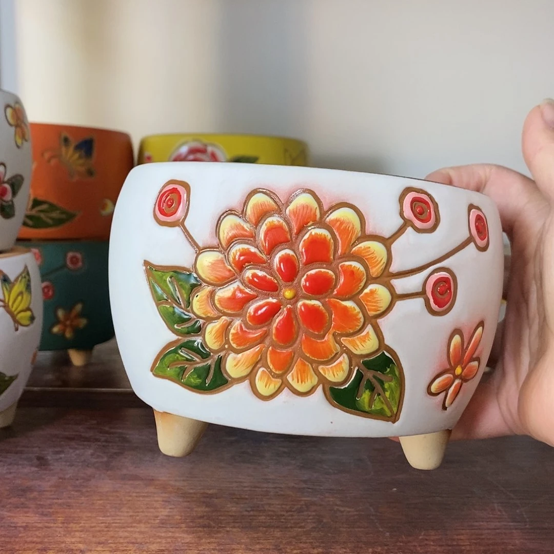 红陶满18包邮18包邮