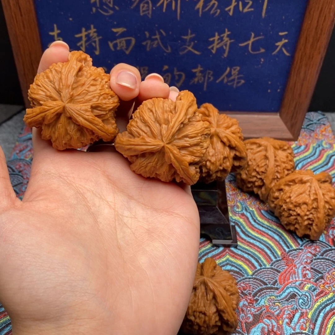 【闪购商品】因****容白狮