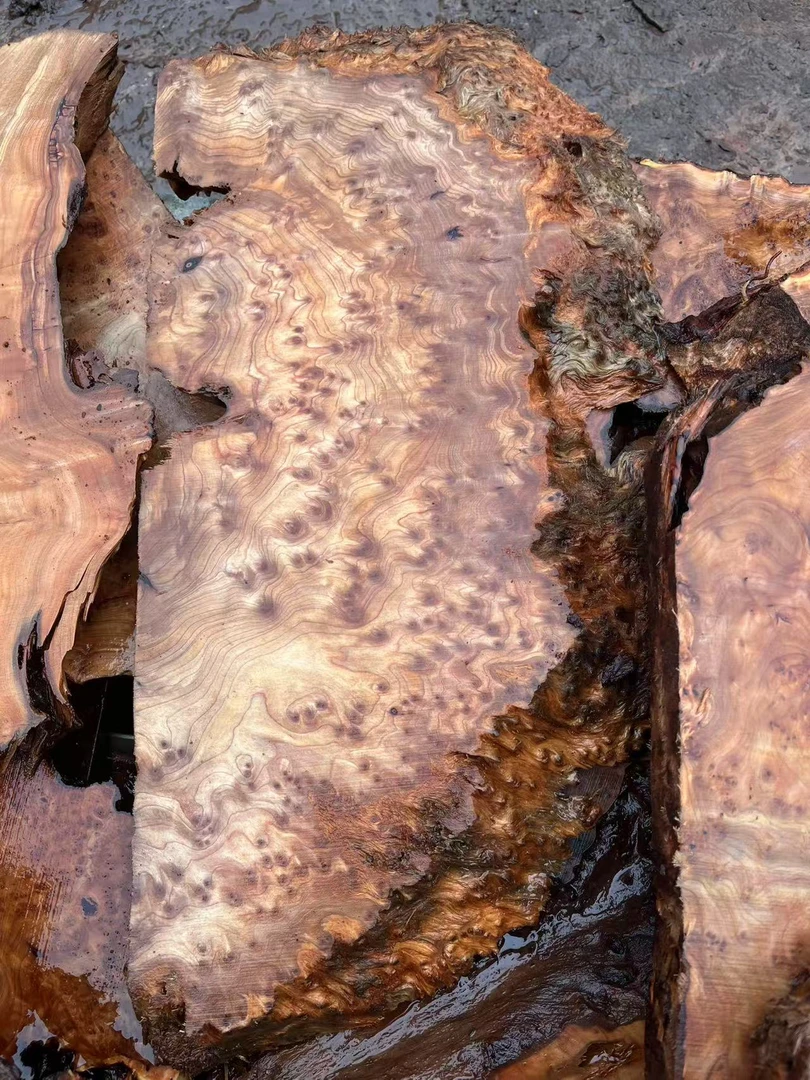 01高山香杉老木瘤板料根 具体直播间截图为准