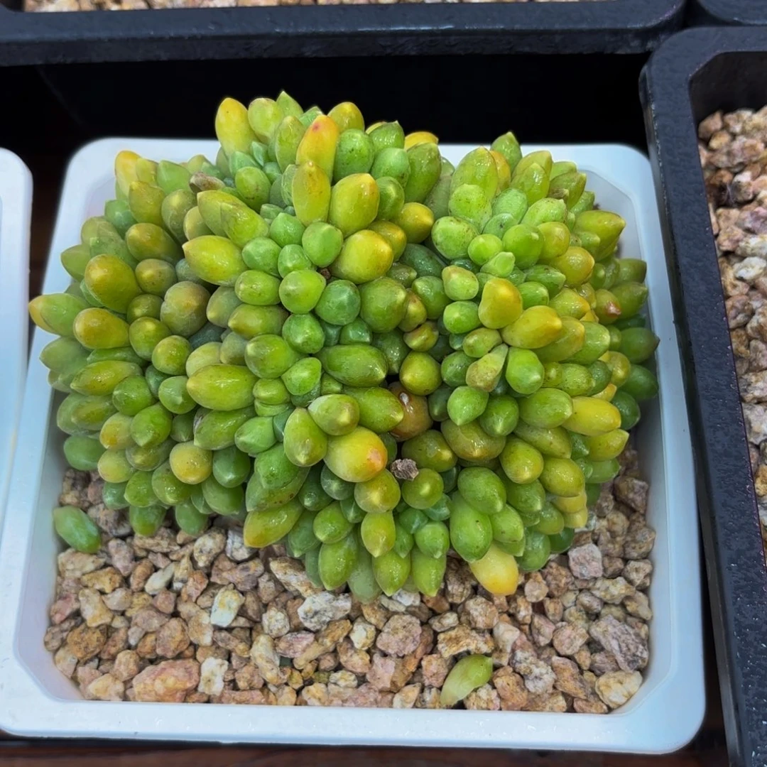 Ihjjnnnnnnnnnnjnnnnnnnnn