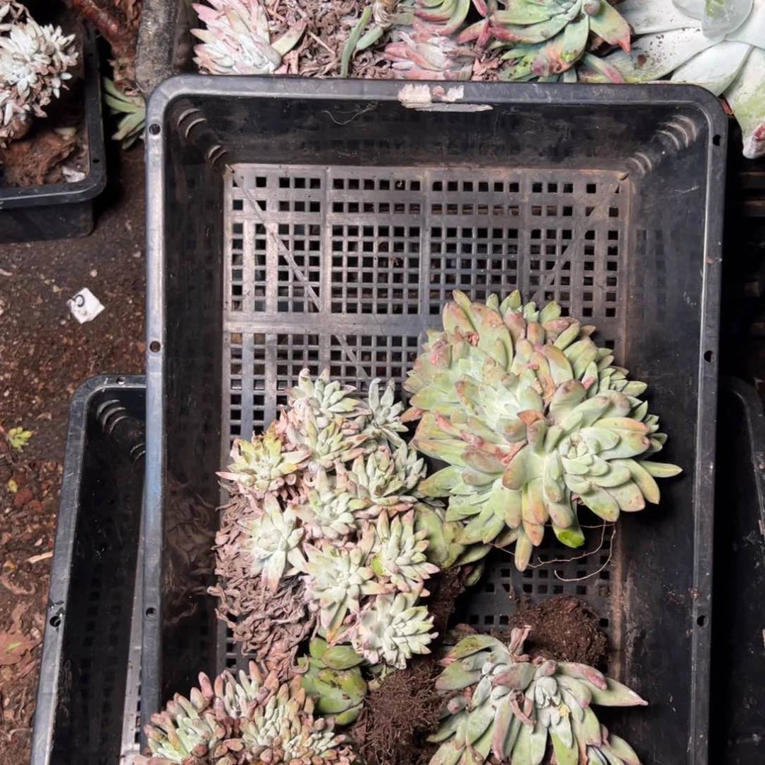 1720哈哈哈哈哈哈哈哈