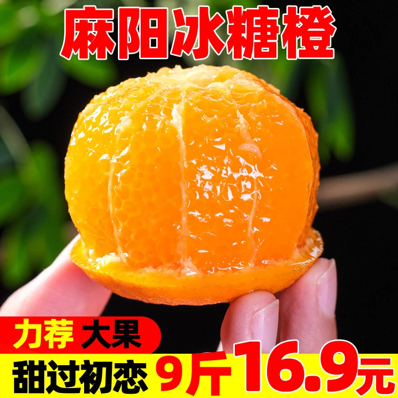 【补贴中】麻阳冰糖橙9斤 湖南当季新鲜水果手剥甜橙子多汁脐10