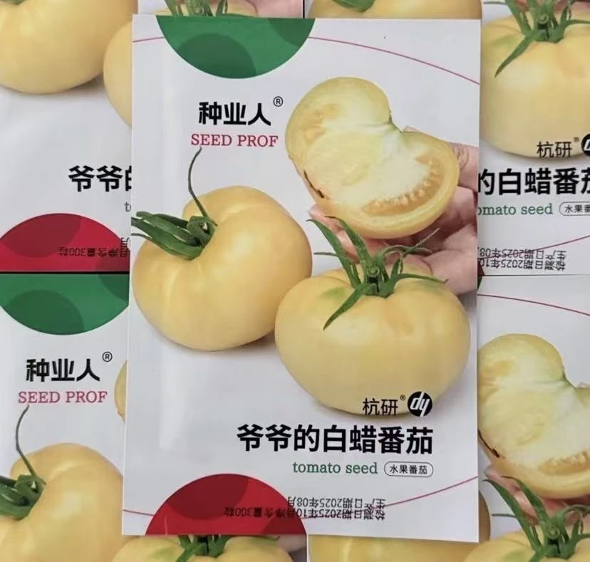 【白腊番茄种籽种子】四季种植盆栽地栽阳台小院种植