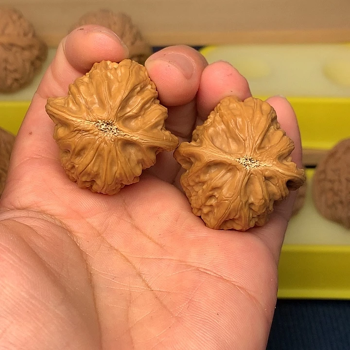 把件文玩核桃僧帽