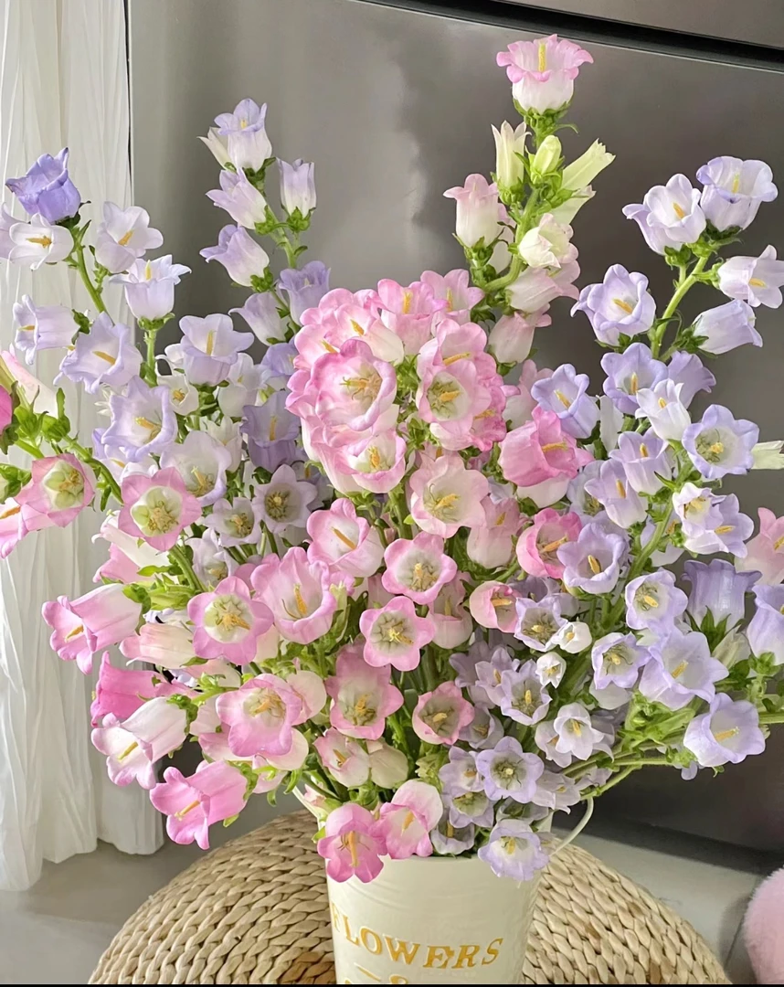 风铃花【人气款】（全场任意一单包邮）发货后不接受退款