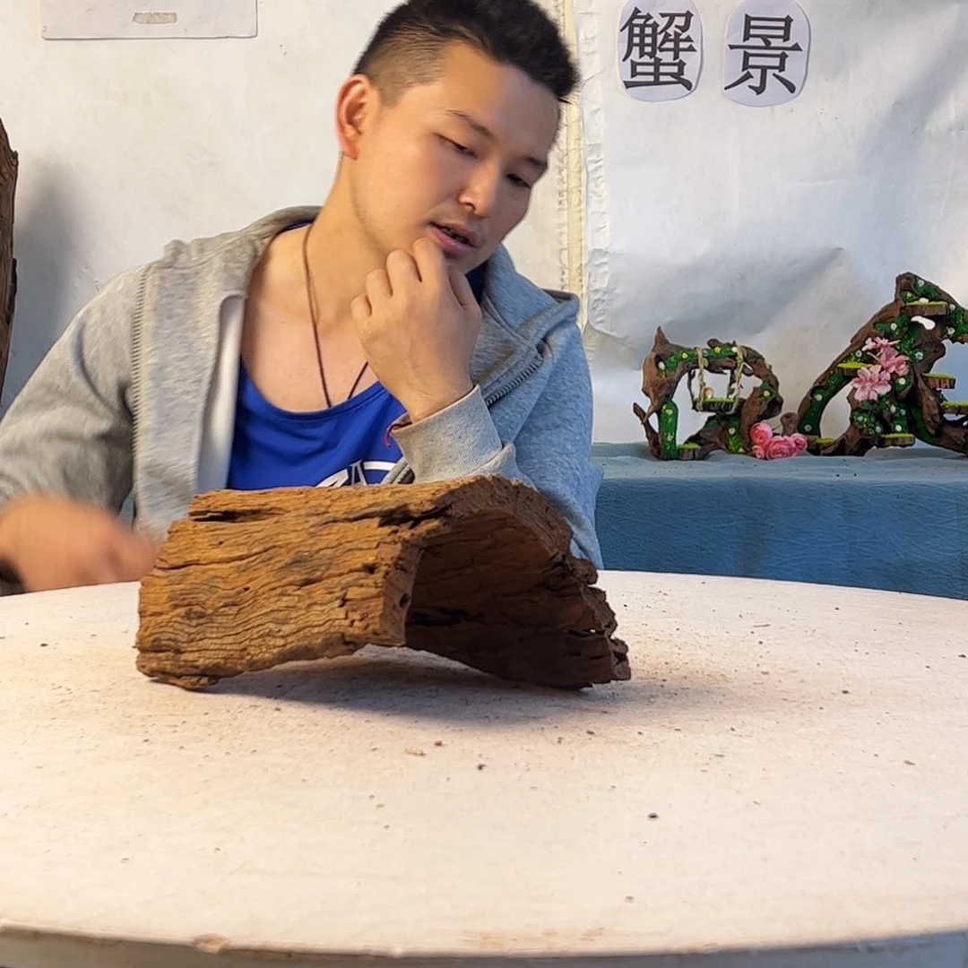 沉木造景爬宠造景
