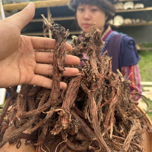 藏丹参西藏波密高海拔山货