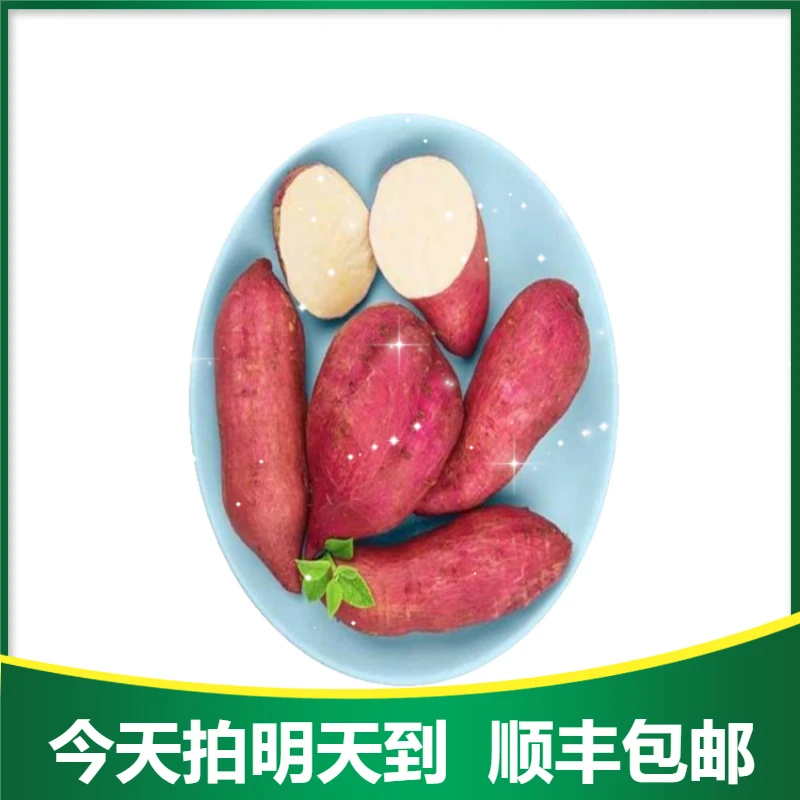 海南桥头沙地红薯500g其他海南省