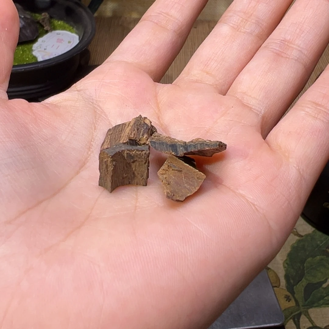 香榧木木料越南沉水碎料1克