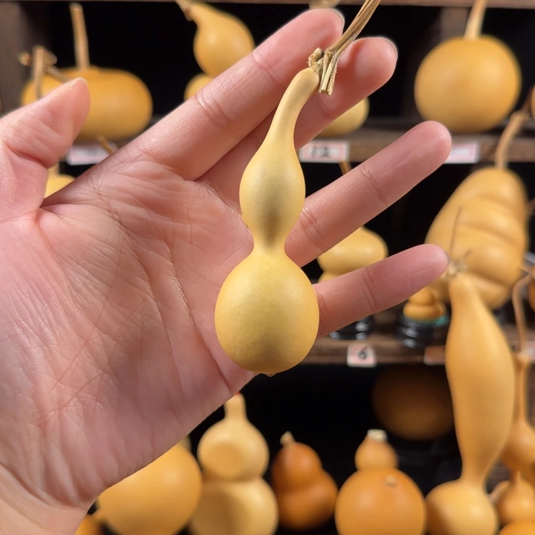 践***烈葫芦葫芦葫芦葫芦葫芦葫芦葫芦